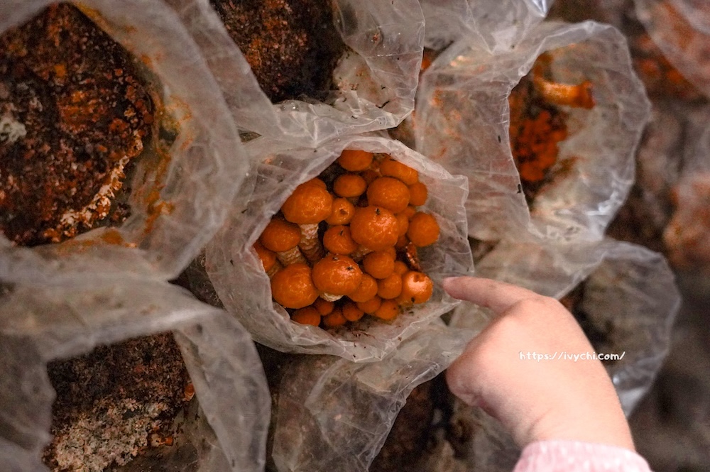 20260410092431 0 7180a8