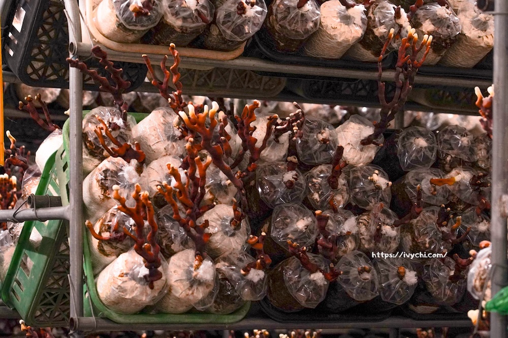 20260410092434 0 291fa9