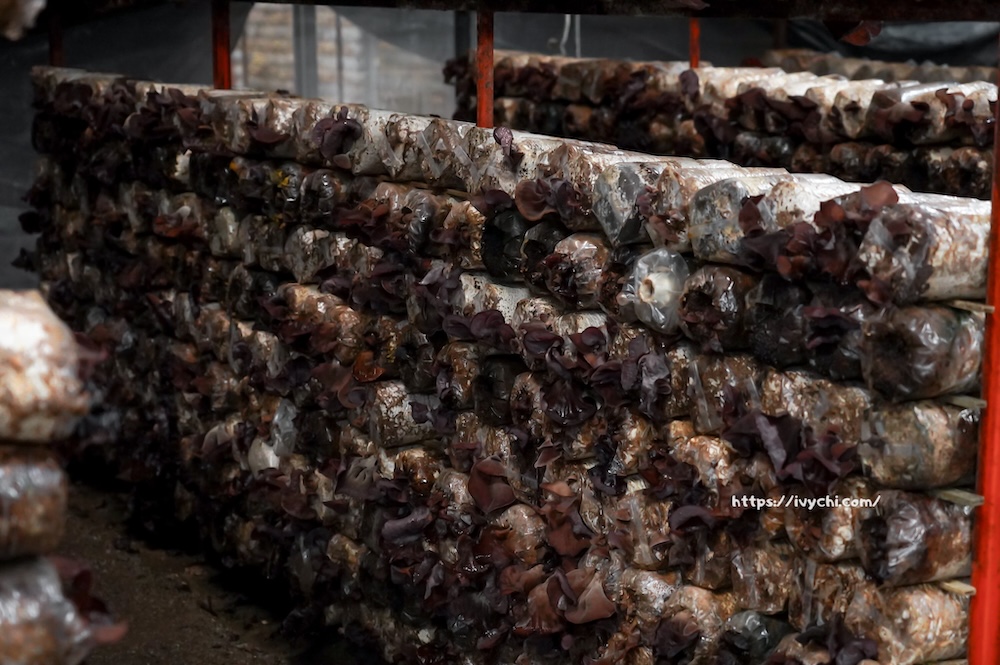 20260410092748 0 861f4f