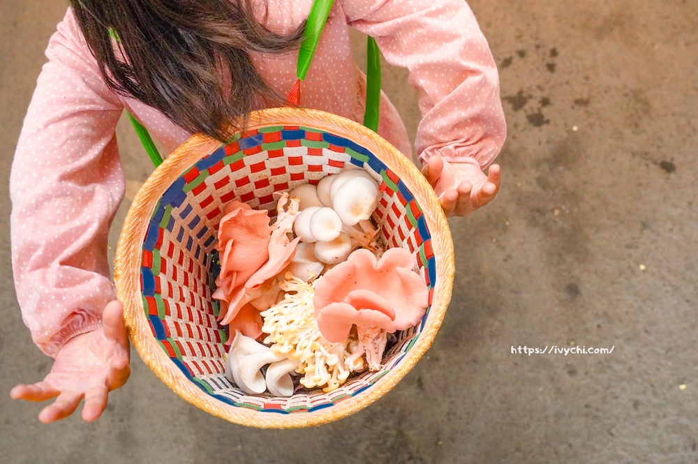 20260410092837 0 f99cbc